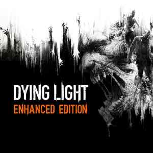 Dying Light - Enhanced Edition Турция. Личный аккаунт.