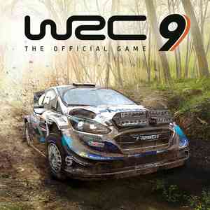 WRC 9 FIA World Rally Championship PS4 & PS5 Турция. Личный аккаунт.