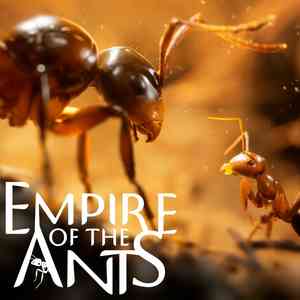 Empire of the Ants Украина. Личный аккаунт.