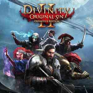 Divinity: Original Sin 2 - Definitive Edition Украина. Личный аккаунт.